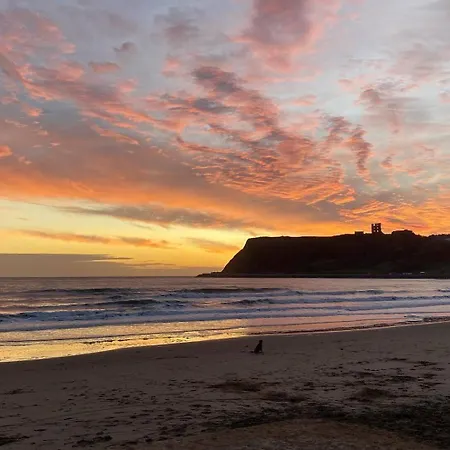 Bay View - Amazing Location Dog Friendly