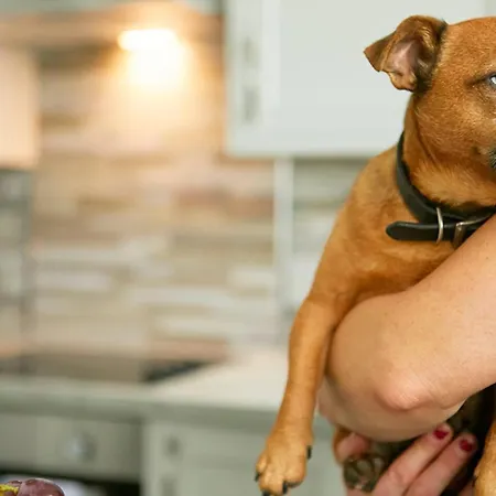 Bay View - Amazing Location Dog Friendly Appart hôtel Scarborough