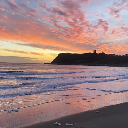 Bay View - Amazing Location Dog Friendly Appart hôtel